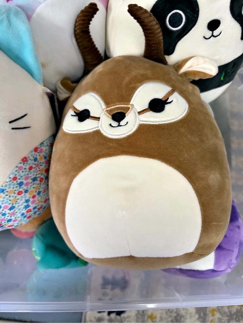 Squishmallows - Picture 4 of 7